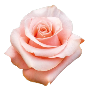 Be Sweet