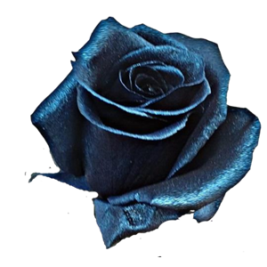 Blue Sapphire
