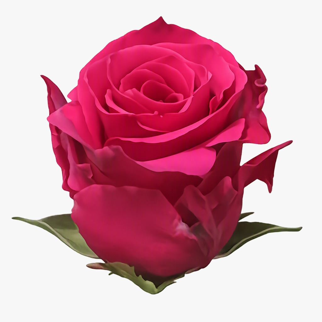Vi pink